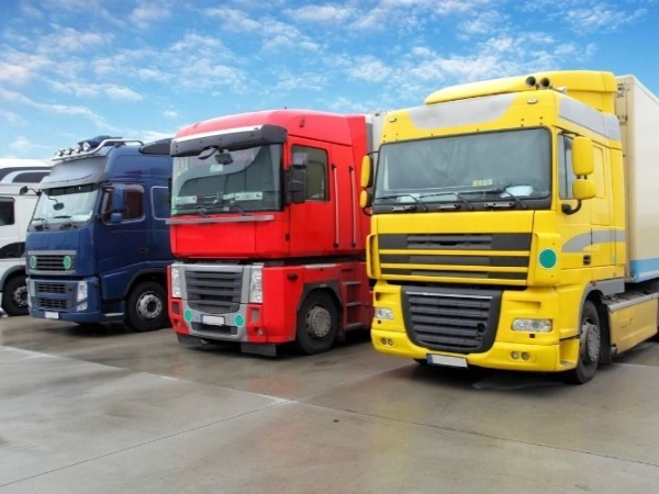 İzmir Güneysu Nakliye